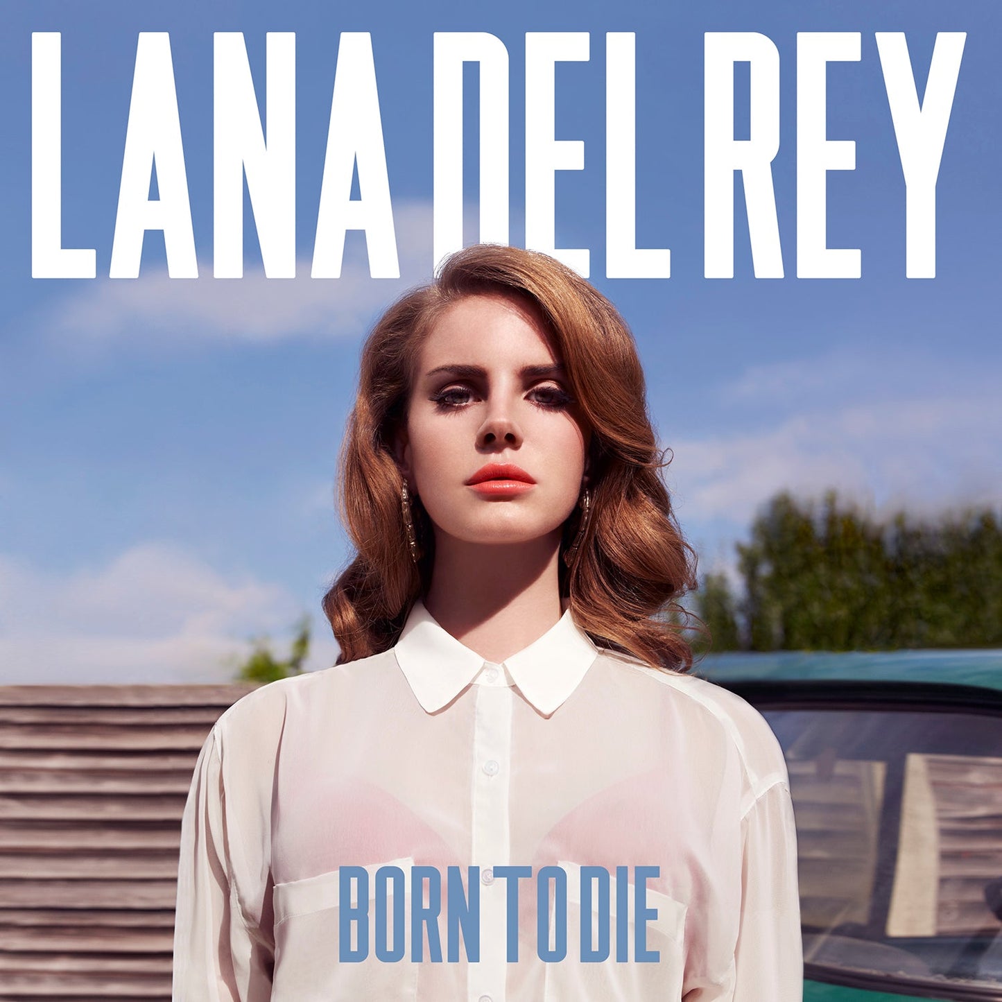 Lana Del Rey BORN TO DIE Album Poster