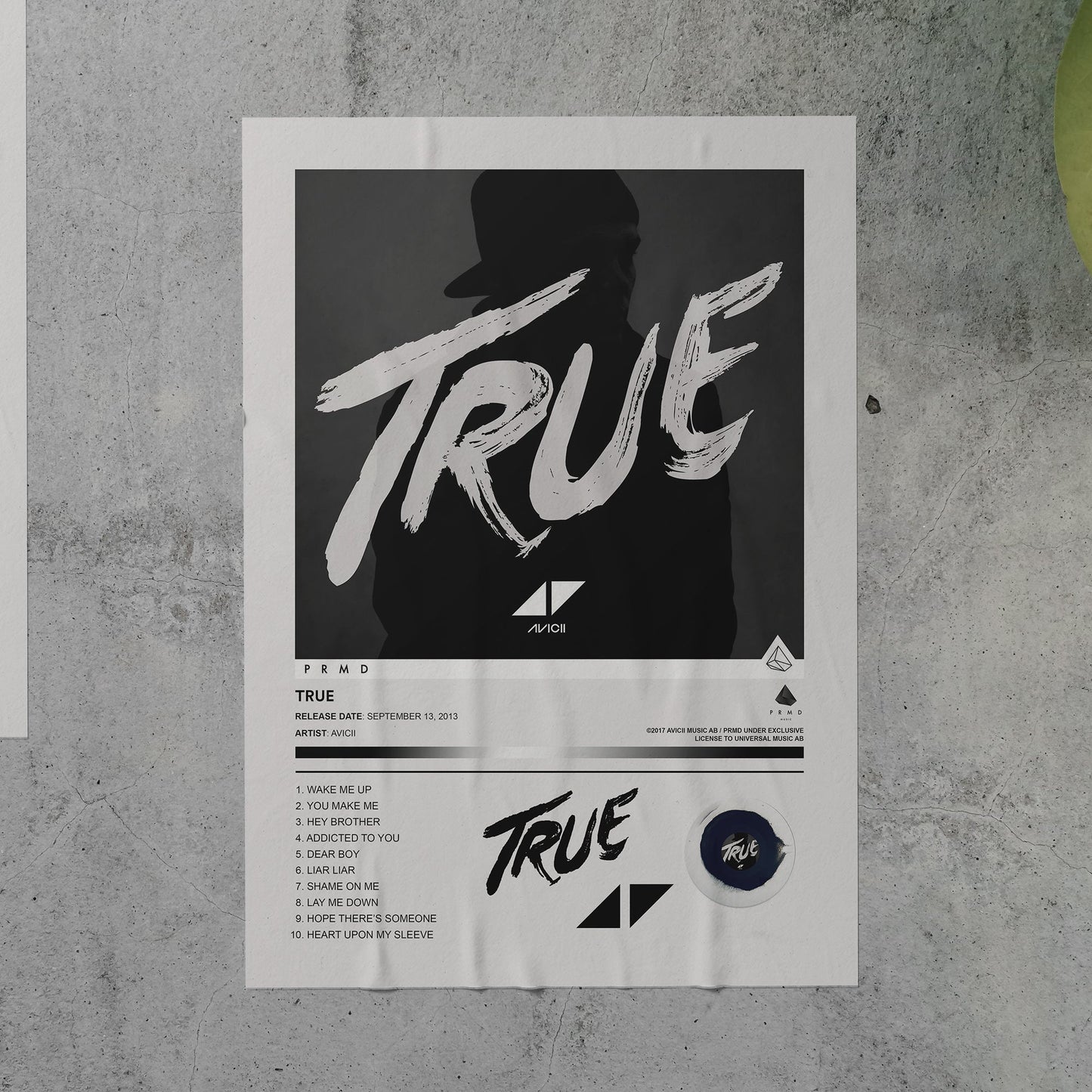 Avicii TRUE Album Poster