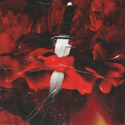 21 Savage & Metro Boomin SAVAGE MODE Album Poster