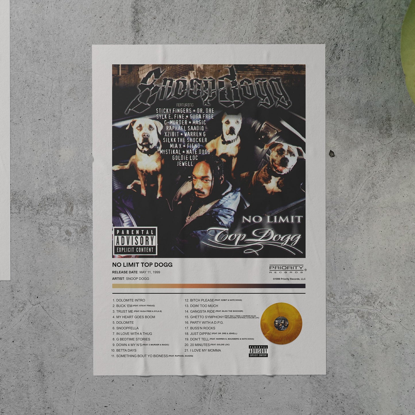 Snoop Dogg NO LIMIT TOP DOGG Album Poster
