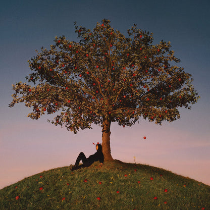 Slowthai TYRON Album Poster